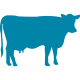 cow